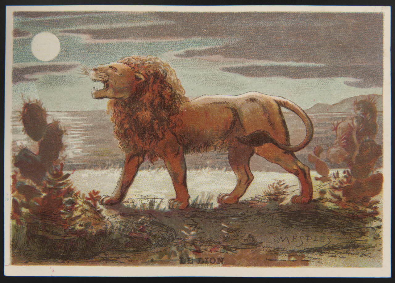 E Mesplès ; Baster & Vieillemard carte réclame chromo Paris 1878-1914 1995.1.120.20 Photo