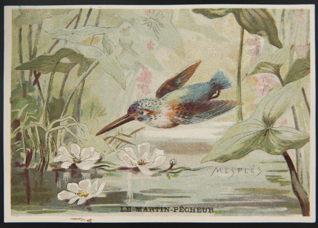 E Mesplès ; Baster & Vieillemard carte réclame chromo Paris 1878-1914 1995.1.120.21 Photo