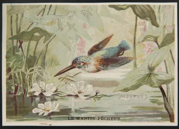E Mesplès ; Baster & Vieillemard carte réclame chromo Paris 1878-1914 1995.1.120.21  Photo