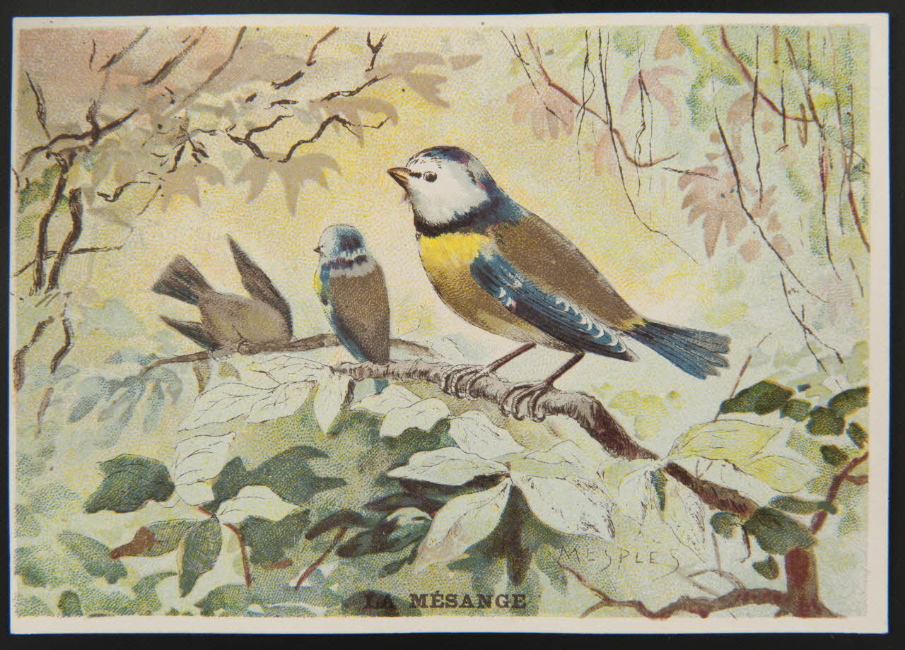 E Mesplès ; Baster & Vieillemard carte réclame chromo Paris 1878-1914 1995.1.120.22 Photo