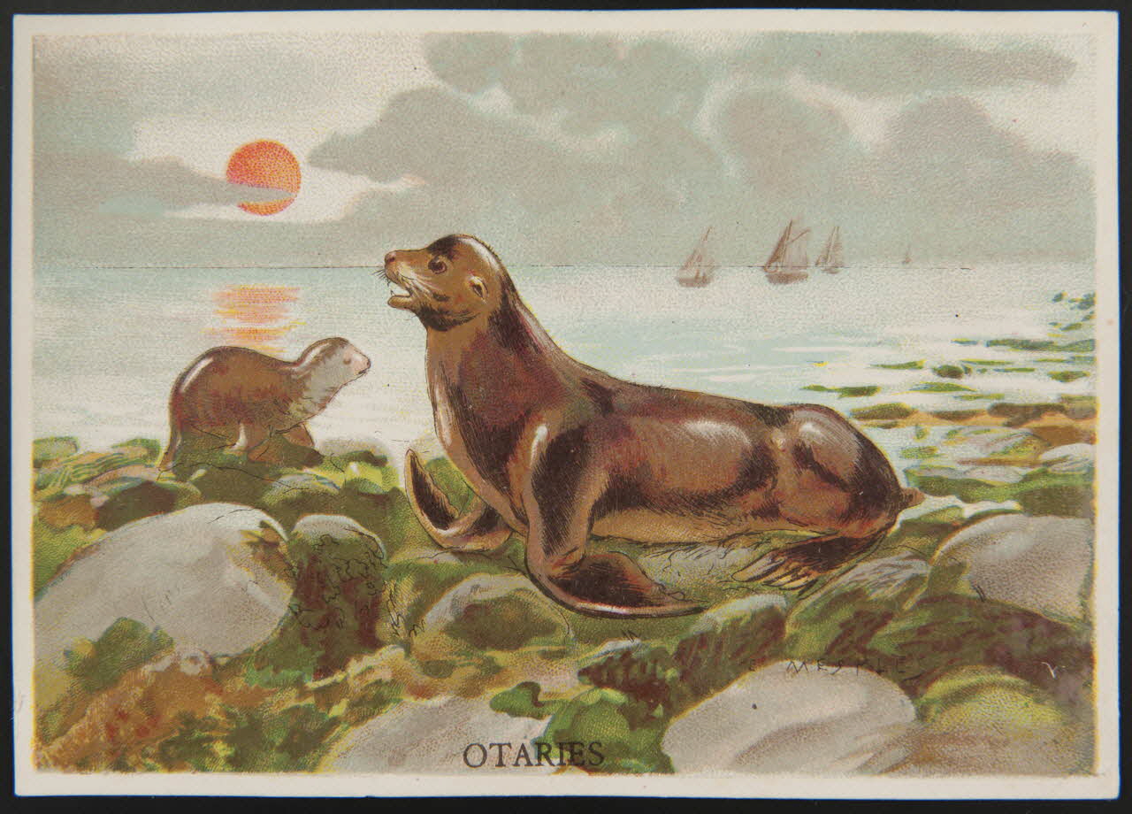 E Mesplès ; Baster & Vieillemard carte réclame chromo Paris 1878-1914 1995.1.120.23 Photo