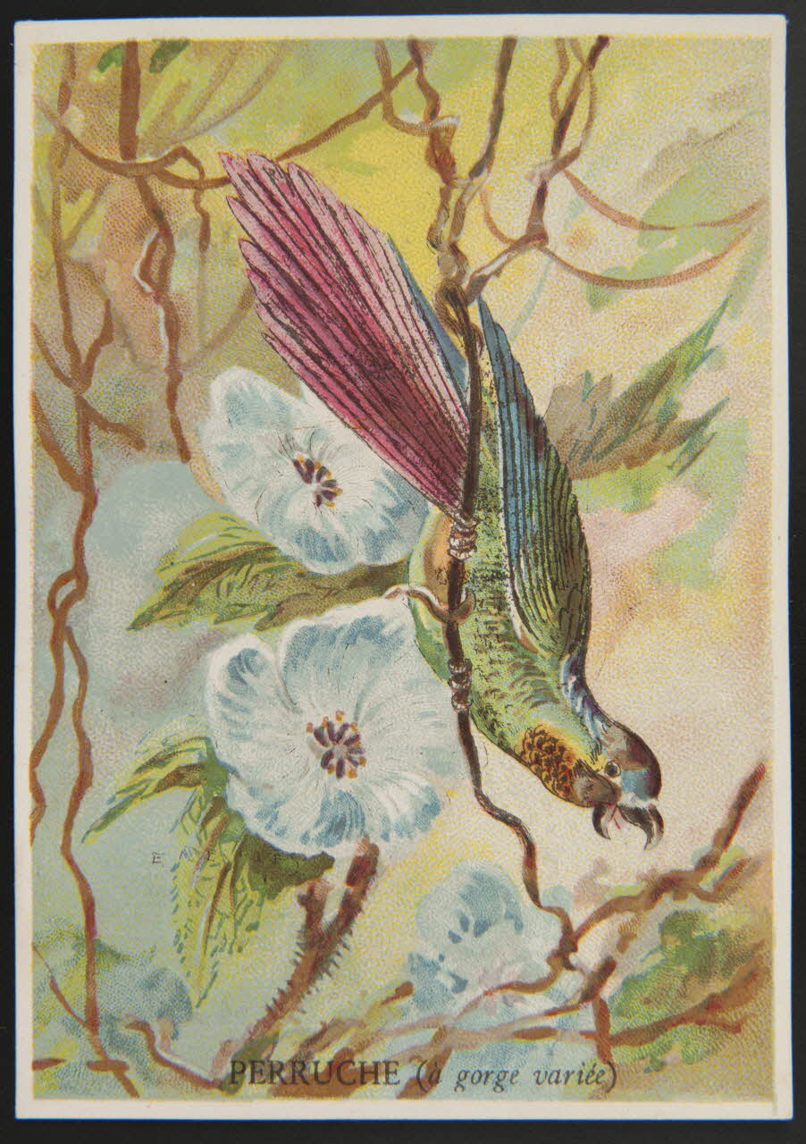 E Mesplès ; Baster & Vieillemard carte réclame chromo Paris 1878-1914 1995.1.120.26 Photo