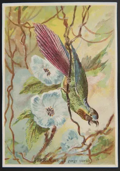 E Mesplès ; Baster & Vieillemard carte réclame chromo Paris 1878-1914 1995.1.120.26  Photo