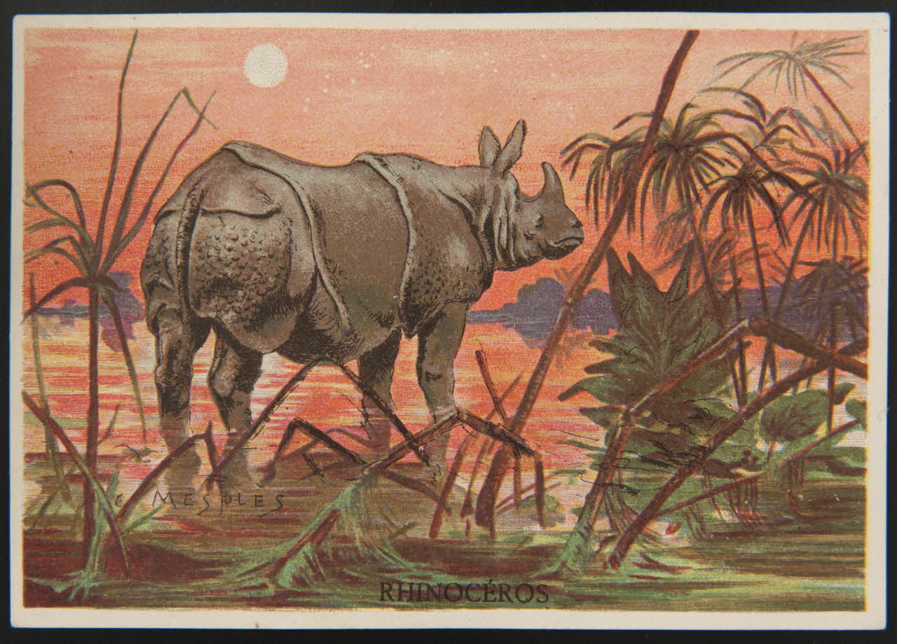 E Mesplès ; Baster & Vieillemard carte réclame chromo Paris 1878-1914 1995.1.120.27 Photo