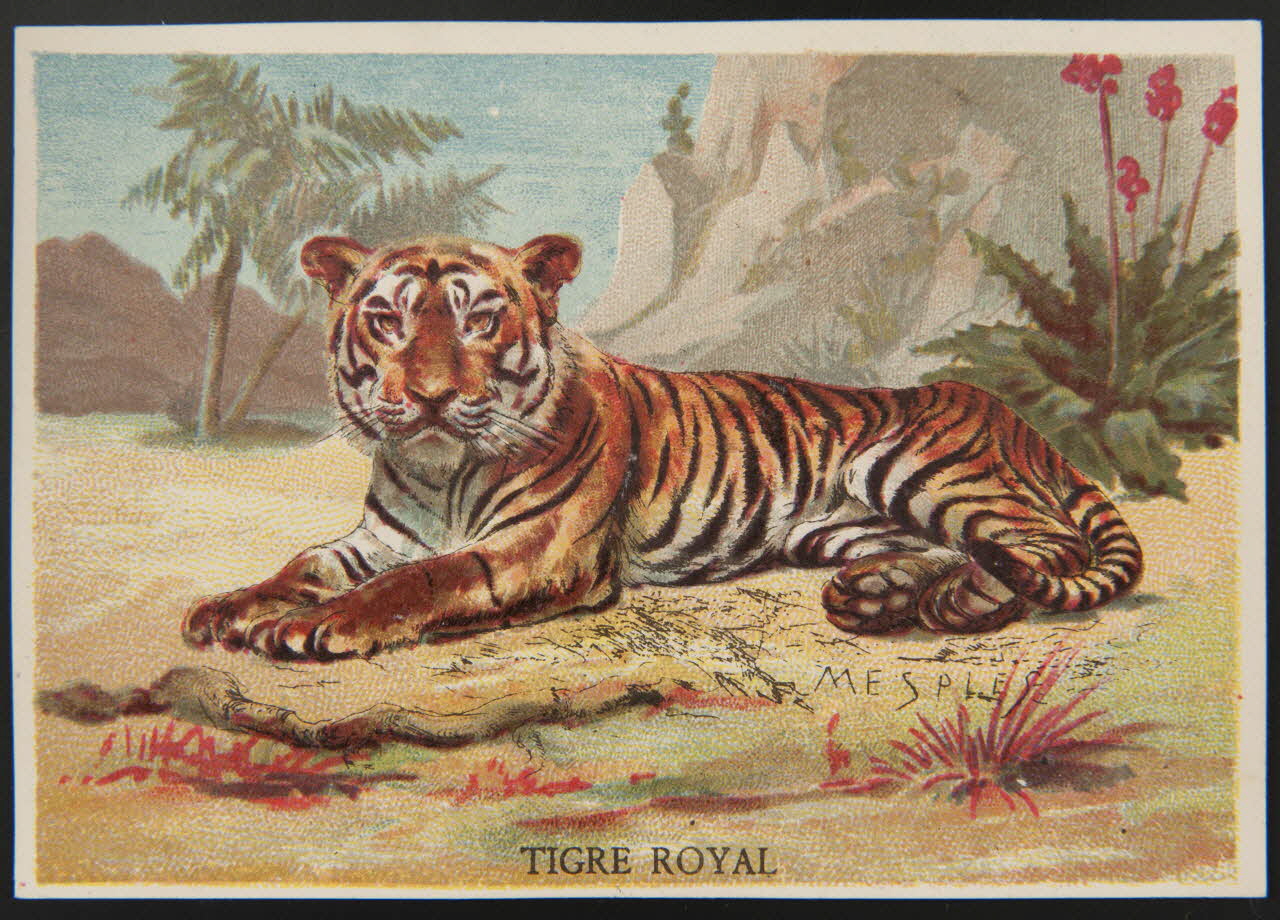 E Mesplès ; Baster & Vieillemard carte réclame chromo Paris 1878-1914 1995.1.120.30 Photo