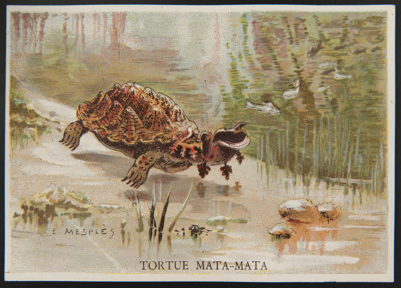 E Mesplès ; Baster & Vieillemard carte réclame chromo Paris 1878-1914 1995.1.120.31 Photo