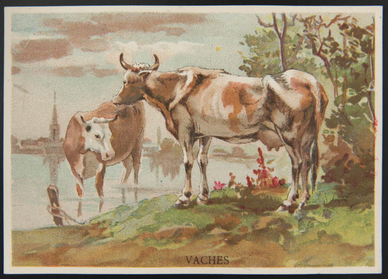 E Mesplès ; Baster & Vieillemard carte réclame chromo Paris 1878-1914 1995.1.120.34 Photo