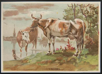 E Mesplès ; Baster & Vieillemard carte réclame chromo Paris 1878-1914 1995.1.120.34  Photo