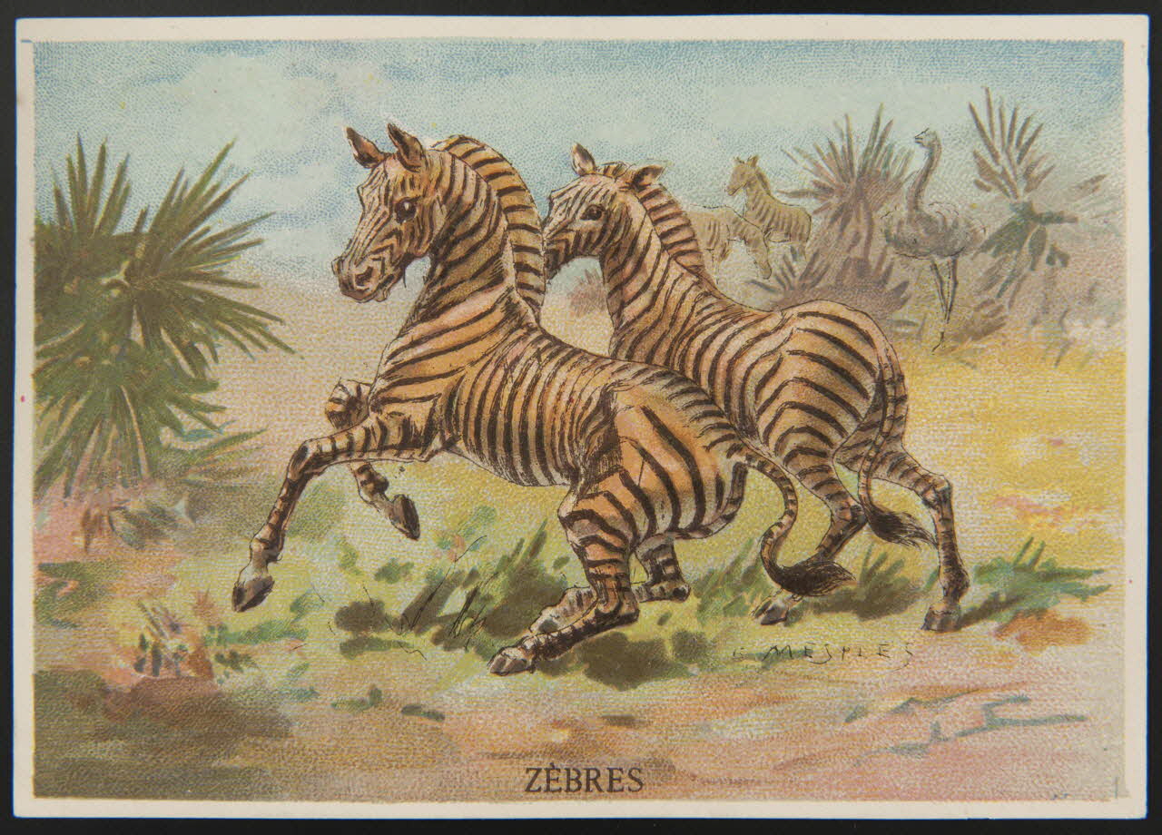 E Mesplès ; Baster & Vieillemard carte réclame chromo Paris 1878-1914 1995.1.120.35 Photo