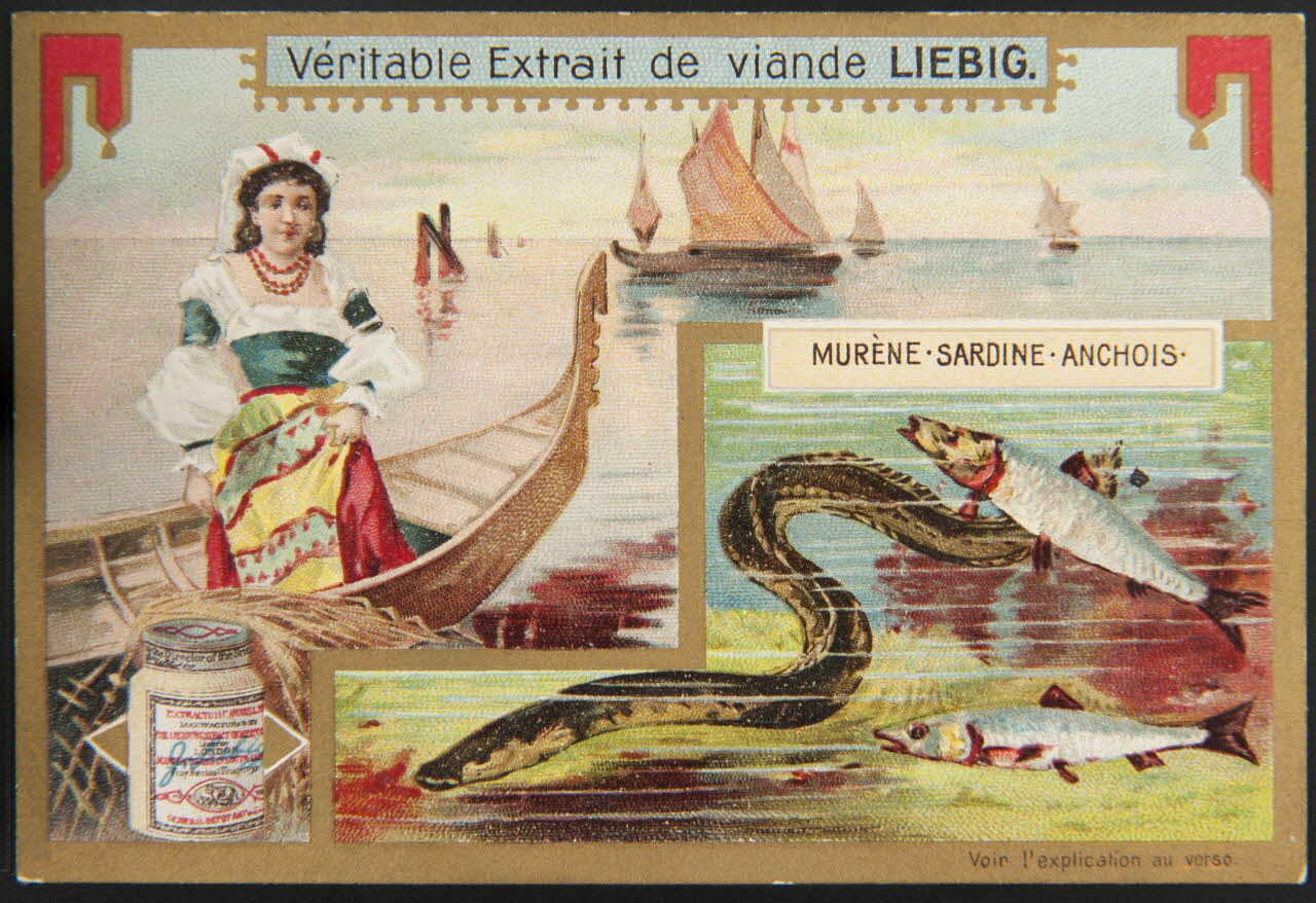 carte réclame chromo Anvers 1904 1995.1.1255.3 Photo