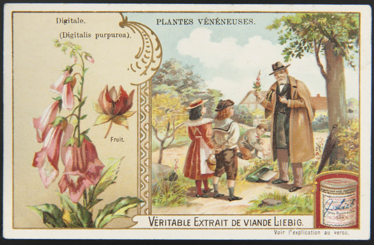 carte réclame chromo Anvers 1904 1995.1.1261.4 Photo