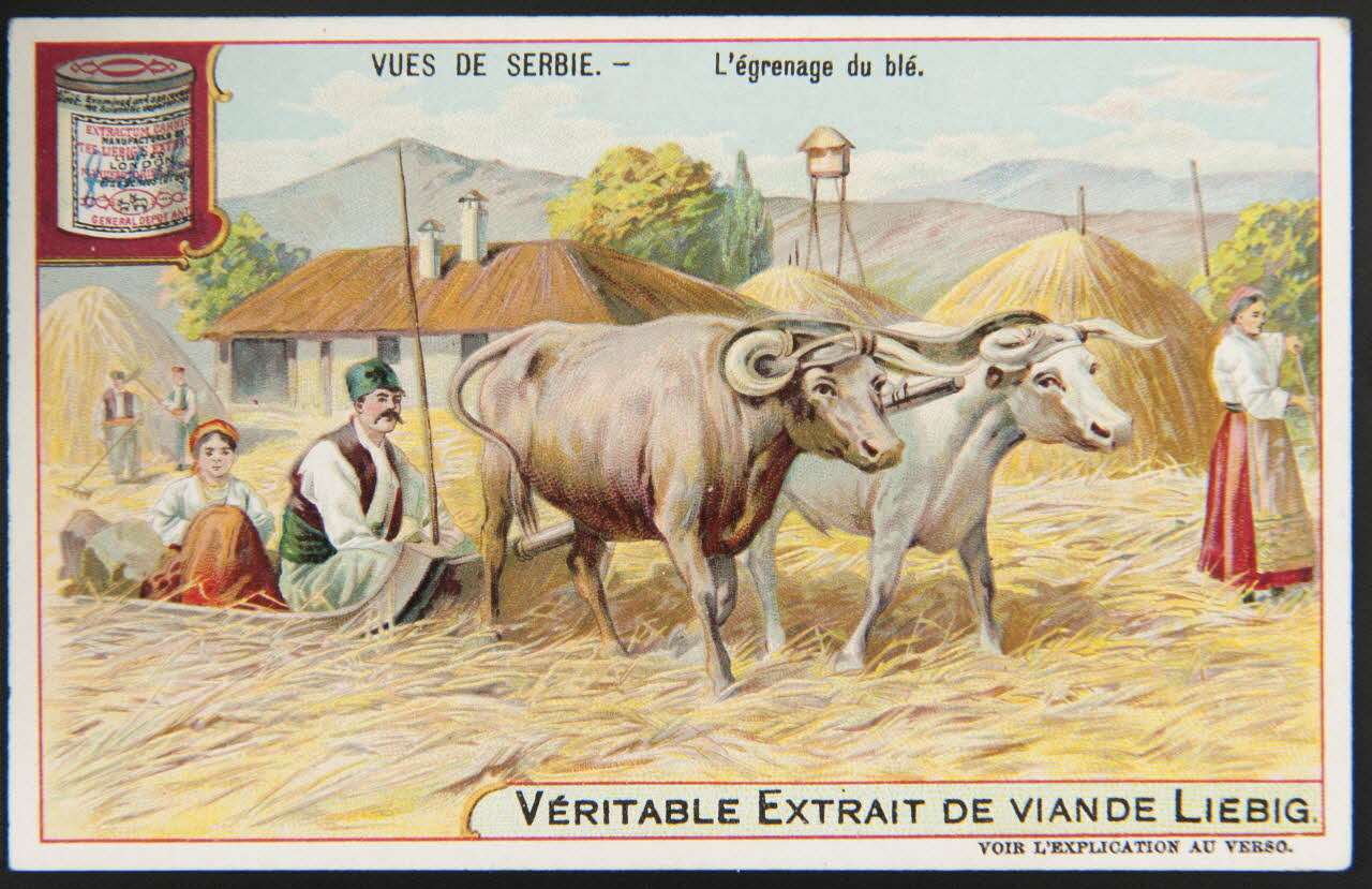 carte réclame chromo Anvers 1904 1995.1.1263.5 Photo