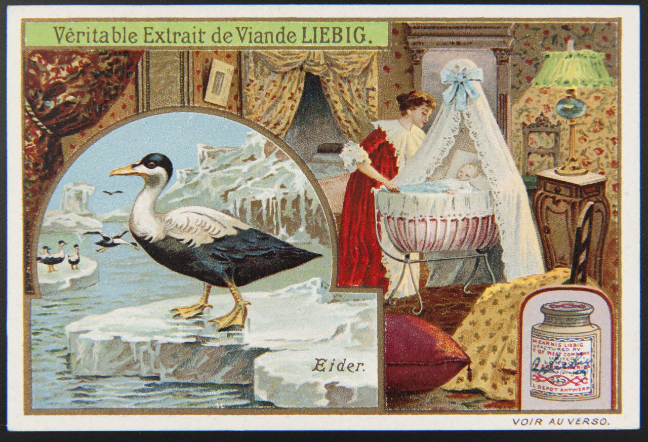 carte réclame chromo Anvers 1904 1995.1.1265.1 Photo