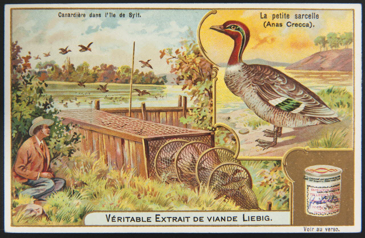 carte réclame chromo Anvers 1905 1995.1.1268.2 Photo