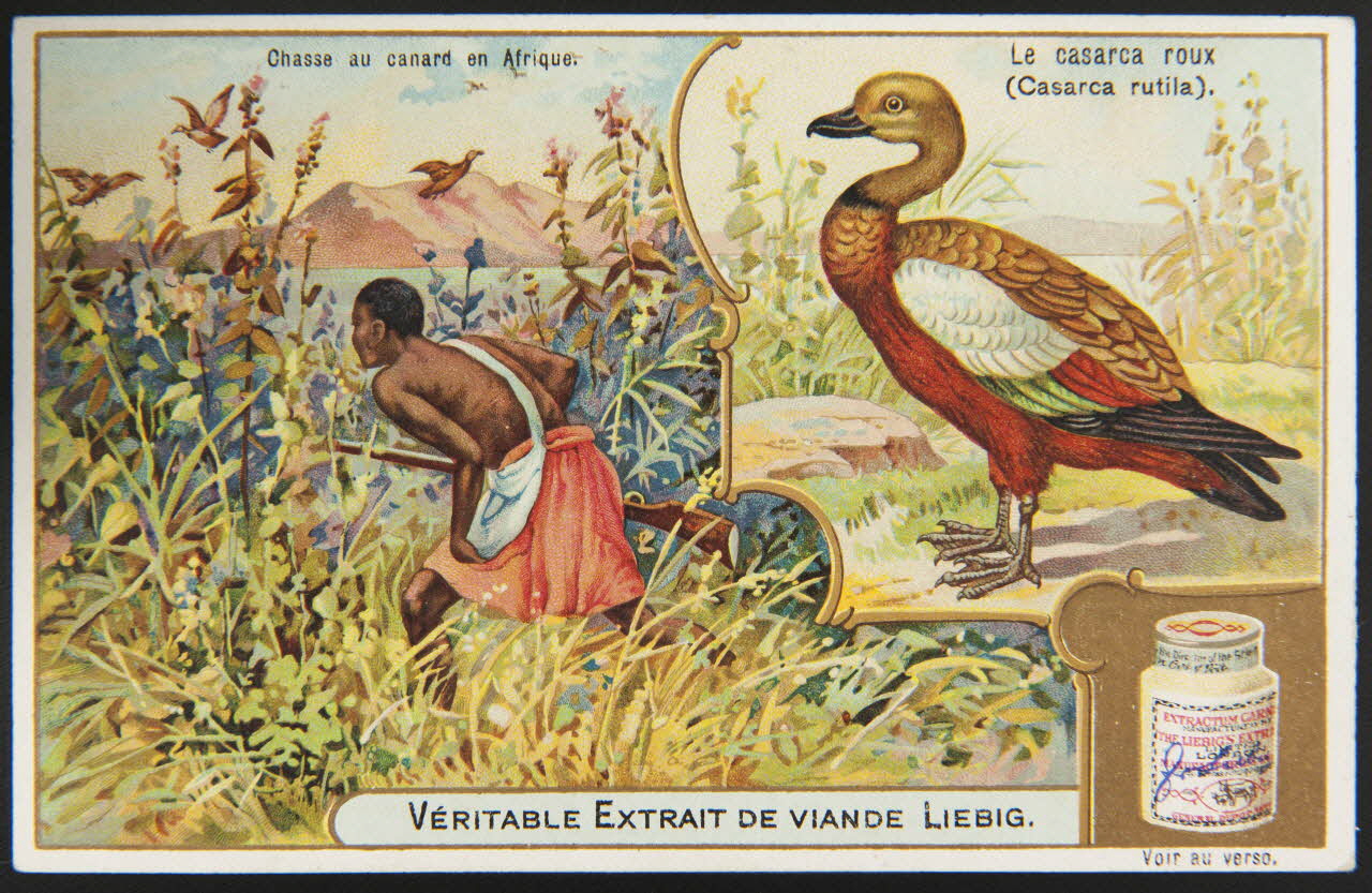 carte réclame chromo Anvers 1905 1995.1.1268.4 Photo