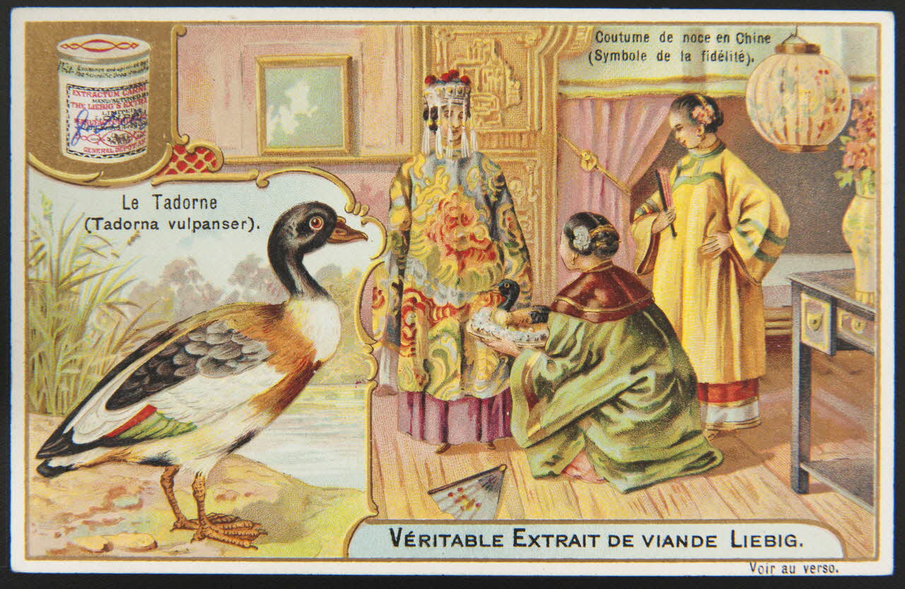 carte réclame chromo Anvers 1905 1995.1.1268.5 Photo