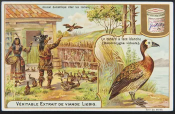 carte réclame chromo Anvers 1905 1995.1.1268.6 Photo