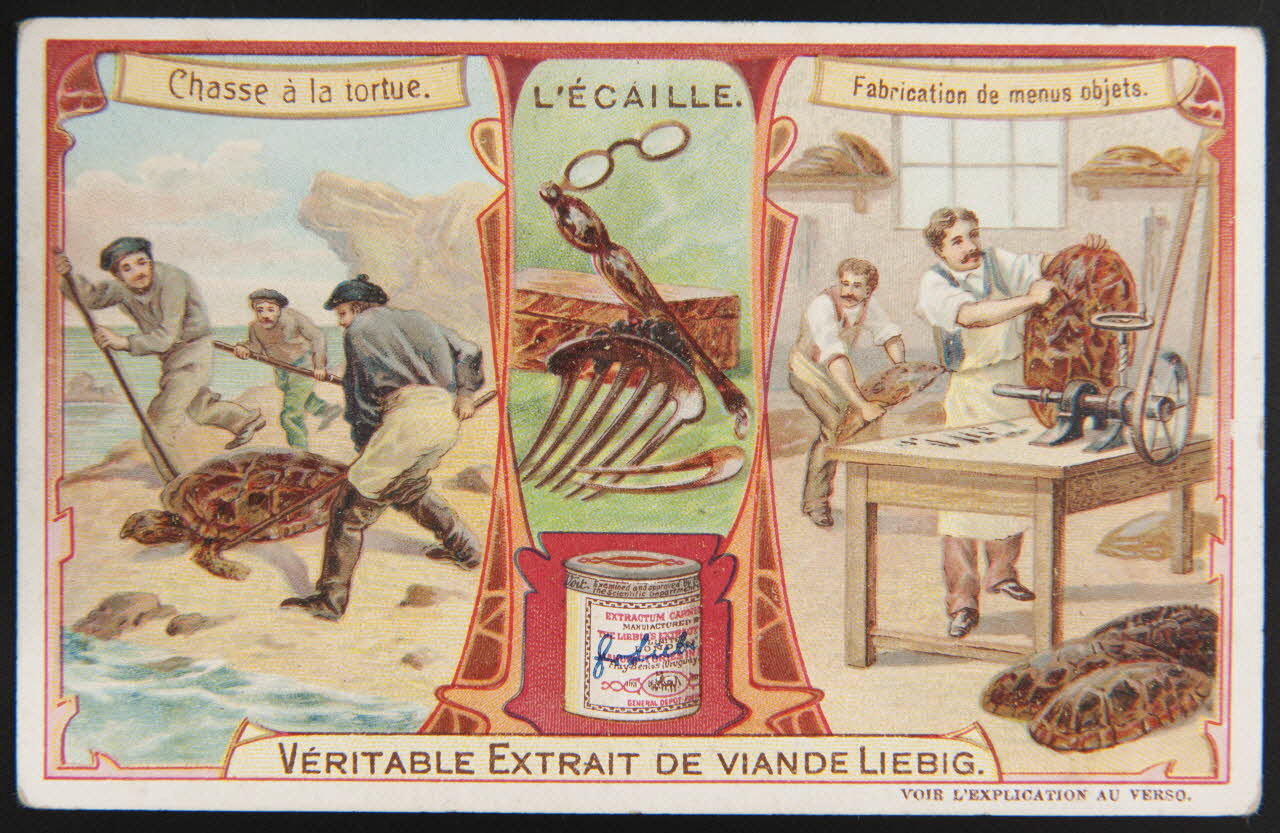 carte réclame chromo Anvers 1906 1995.1.1296.6 Photo