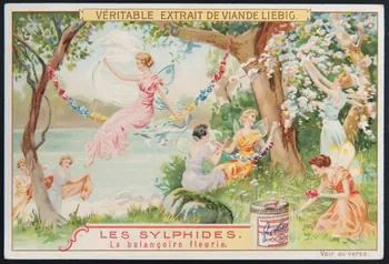carte réclame chromo Anvers 1906 1995.1.1303.3 Photo