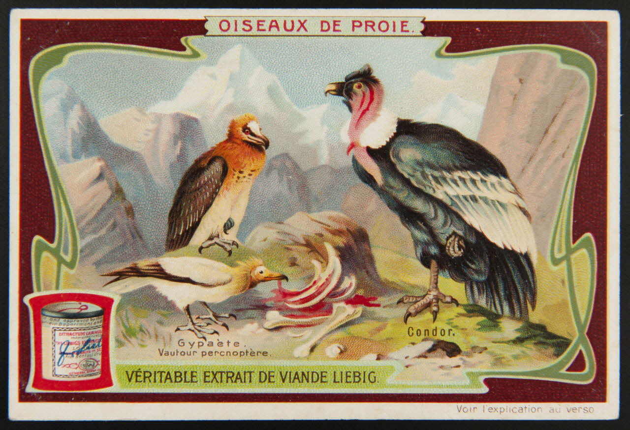 carte réclame chromo Anvers 1906 1995.1.1307.1 Photo