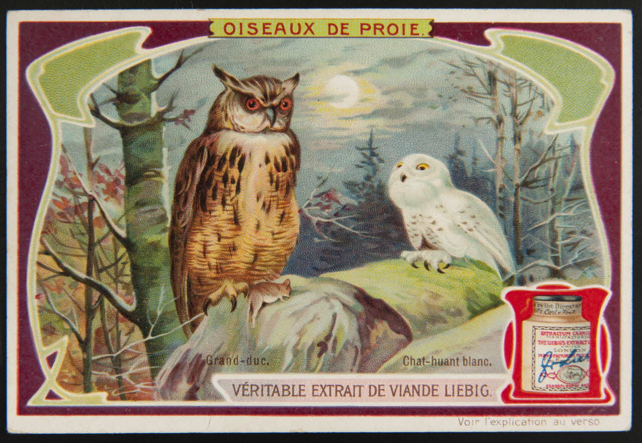 carte réclame chromo Anvers 1906 1995.1.1307.2 Photo