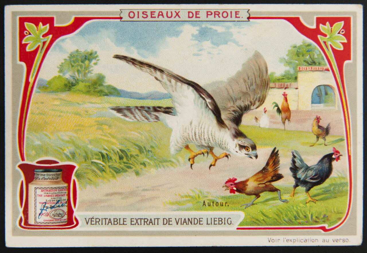 carte réclame chromo Anvers 1906 1995.1.1307.3 Photo