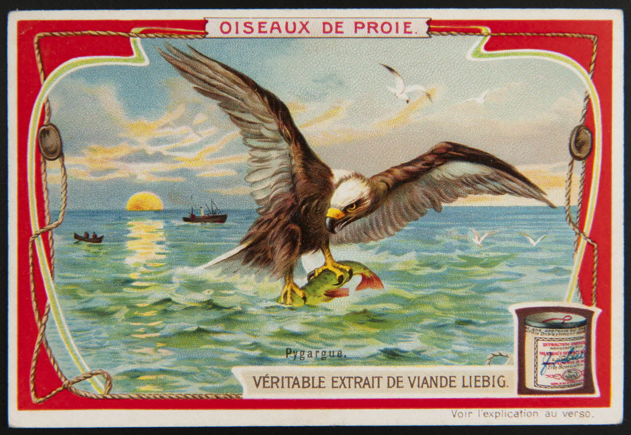 carte réclame chromo Anvers 1906 1995.1.1307.4 Photo