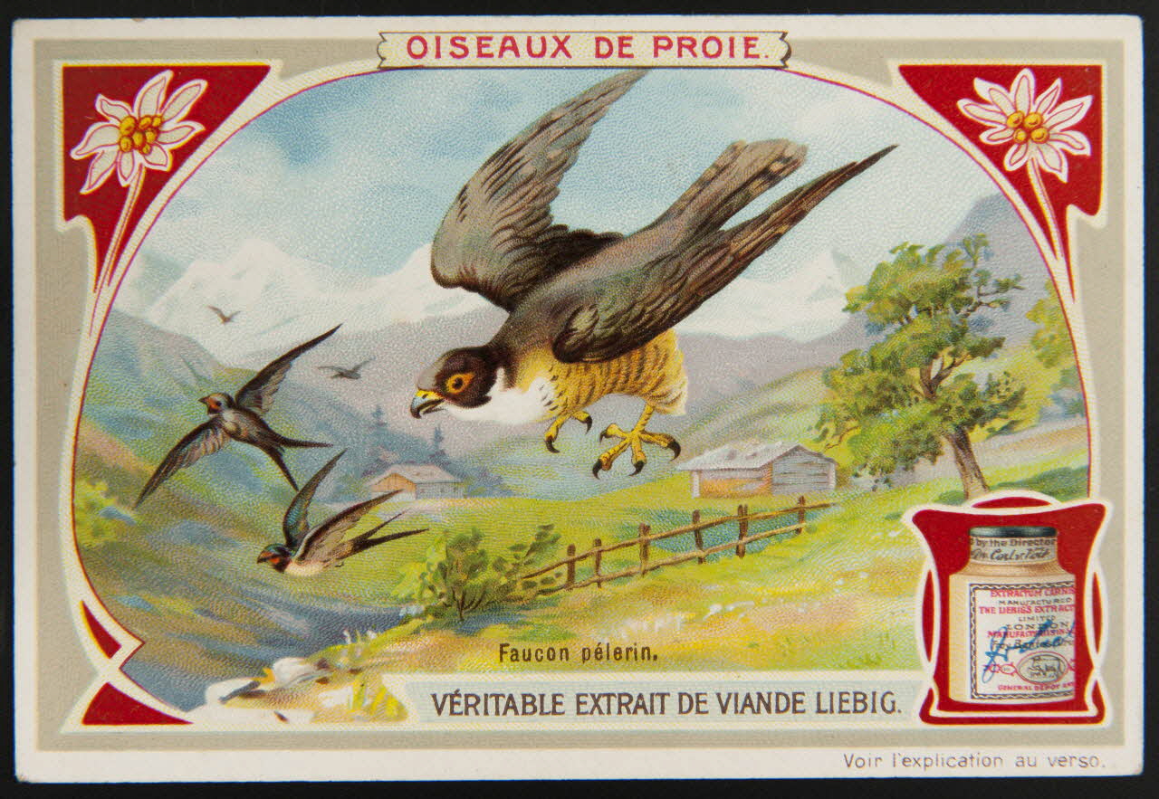 carte réclame chromo Anvers 1906 1995.1.1307.6 Photo