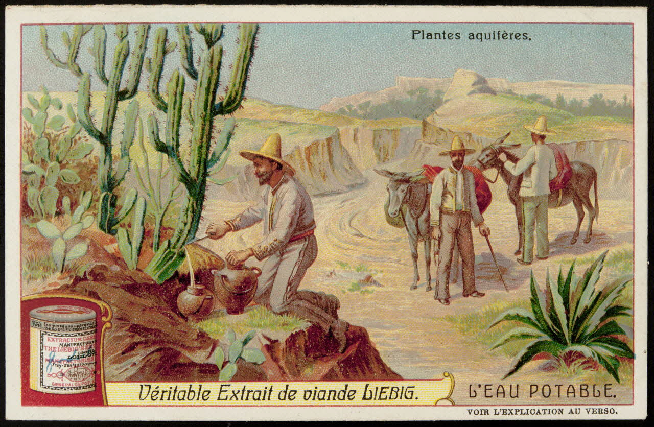 carte réclame chromo Anvers 1907 1995.1.1310.5 Photo