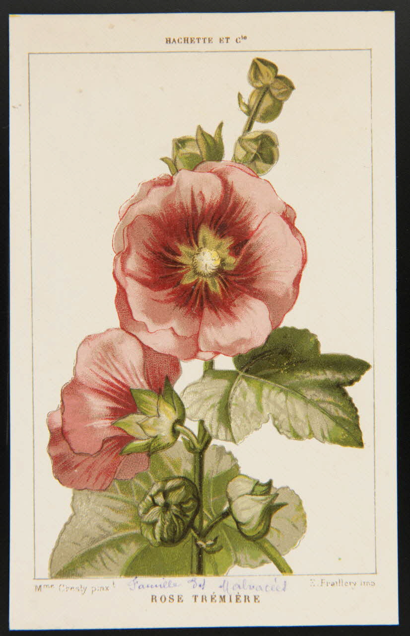 carte réclame chromo 1995.1.1311.123 Photo