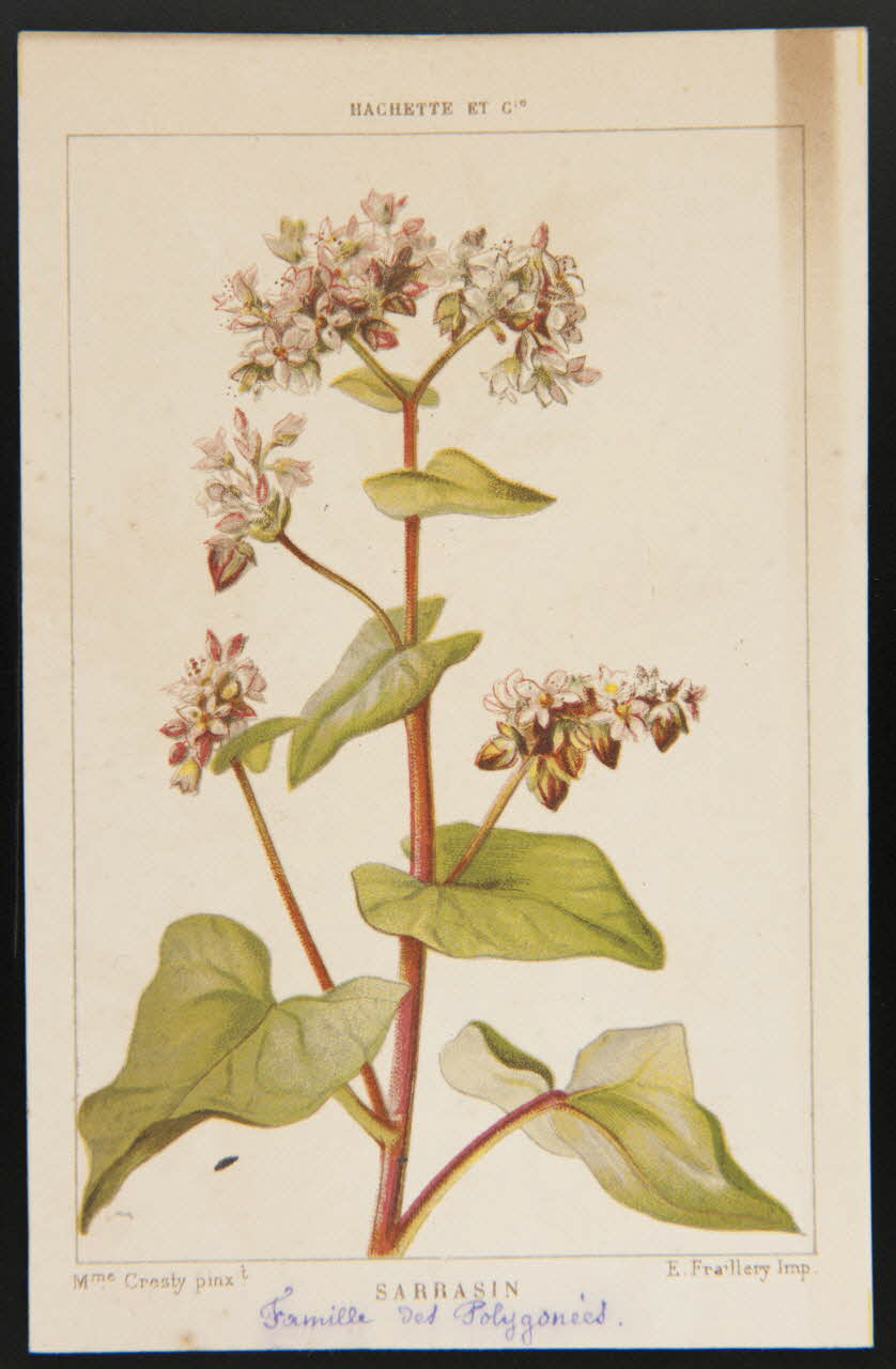 carte réclame chromo 1995.1.1311.125 Photo