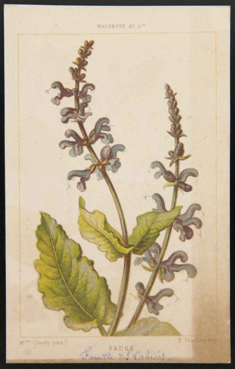 carte réclame chromo 1995.1.1311.126 Photo