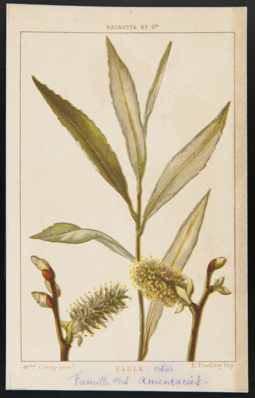 carte réclame chromo 1995.1.1311.127 Photo