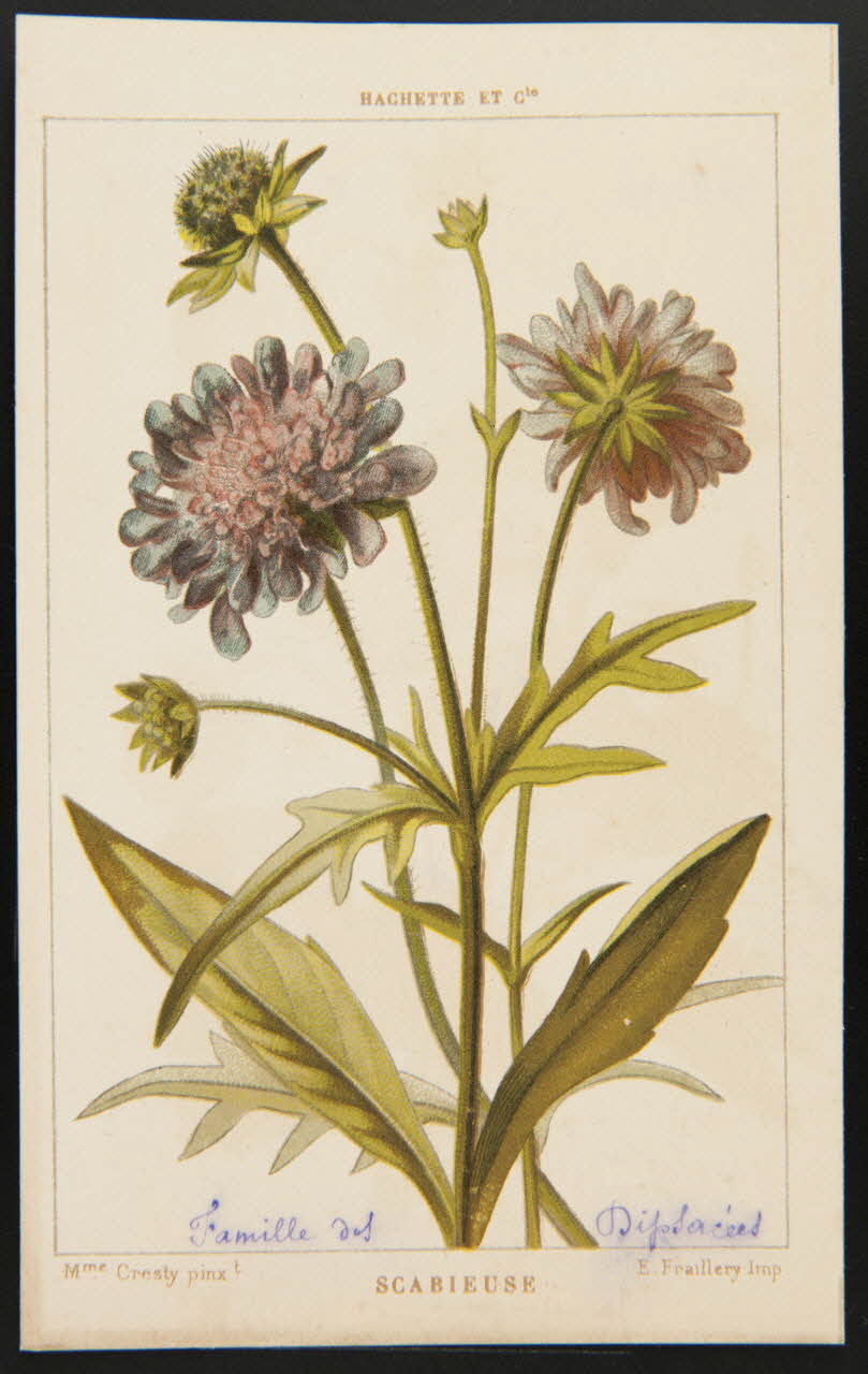 carte réclame chromo 1995.1.1311.128 Photo