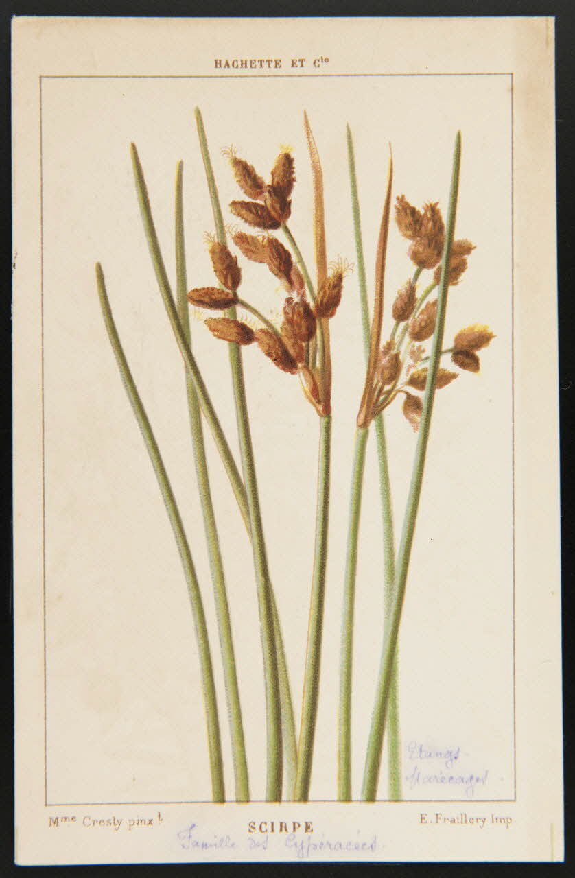 carte réclame chromo 1995.1.1311.129 Photo