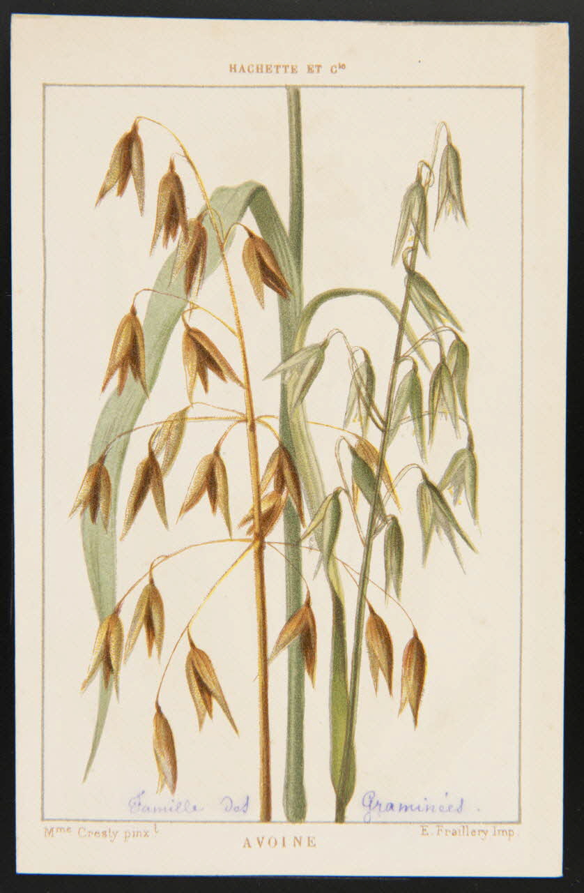 carte réclame chromo 1995.1.1311.13 Photo