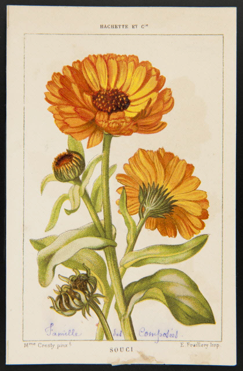 carte réclame chromo 1995.1.1311.132 Photo