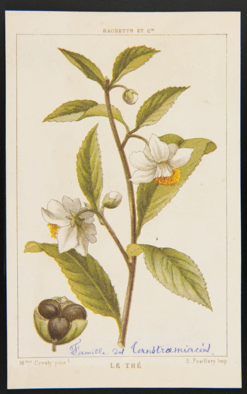 carte réclame chromo 1995.1.1311.134 Photo