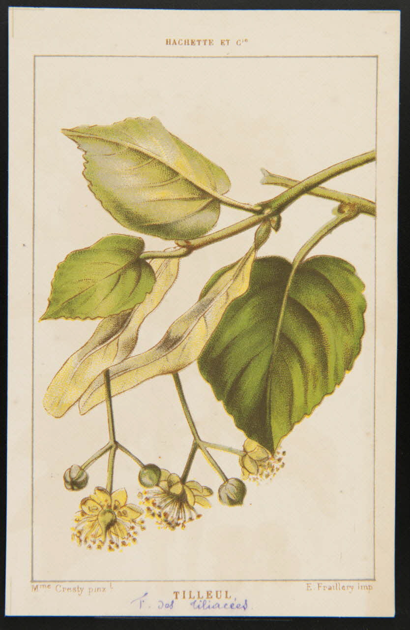 carte réclame chromo 1995.1.1311.135 Photo