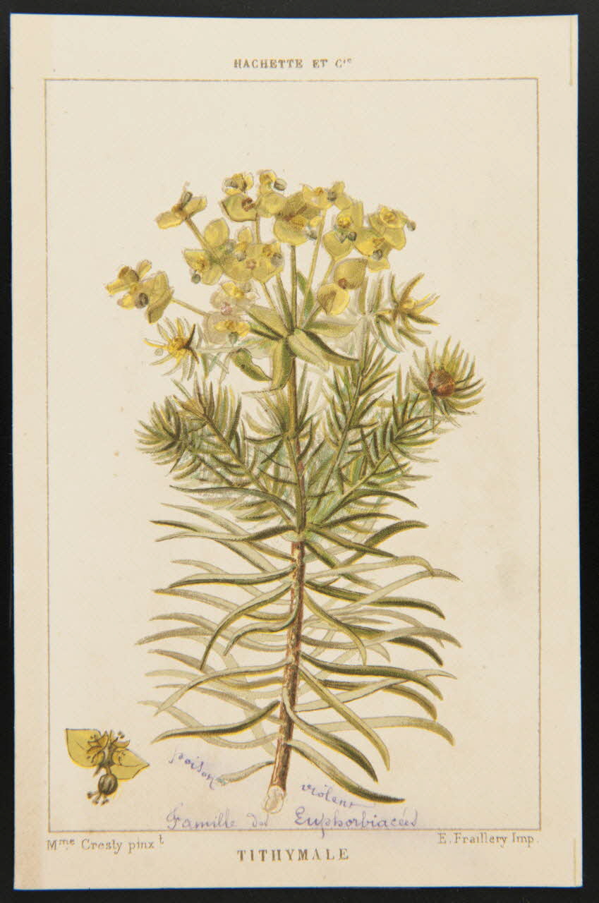 carte réclame chromo 1995.1.1311.136 Photo