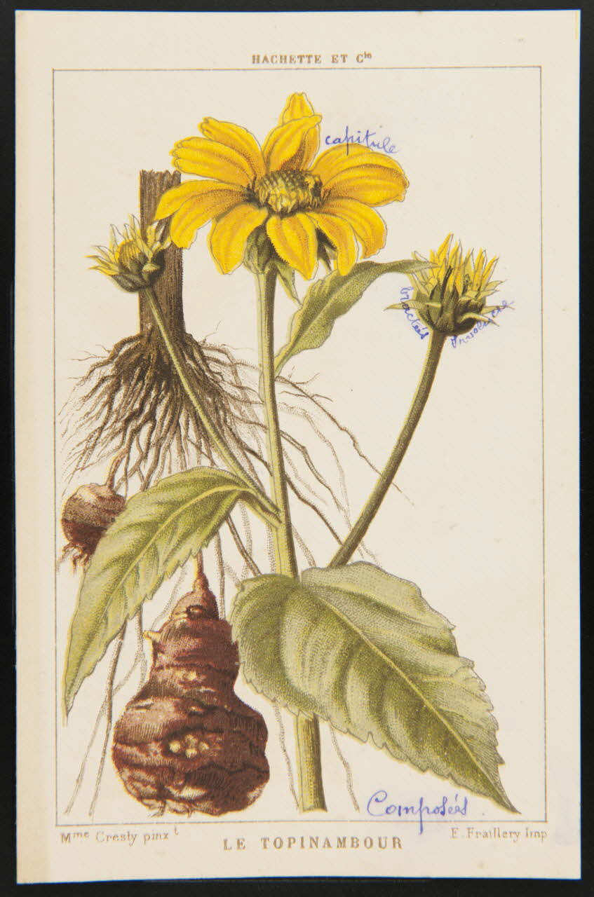 carte réclame chromo 1995.1.1311.138 Photo