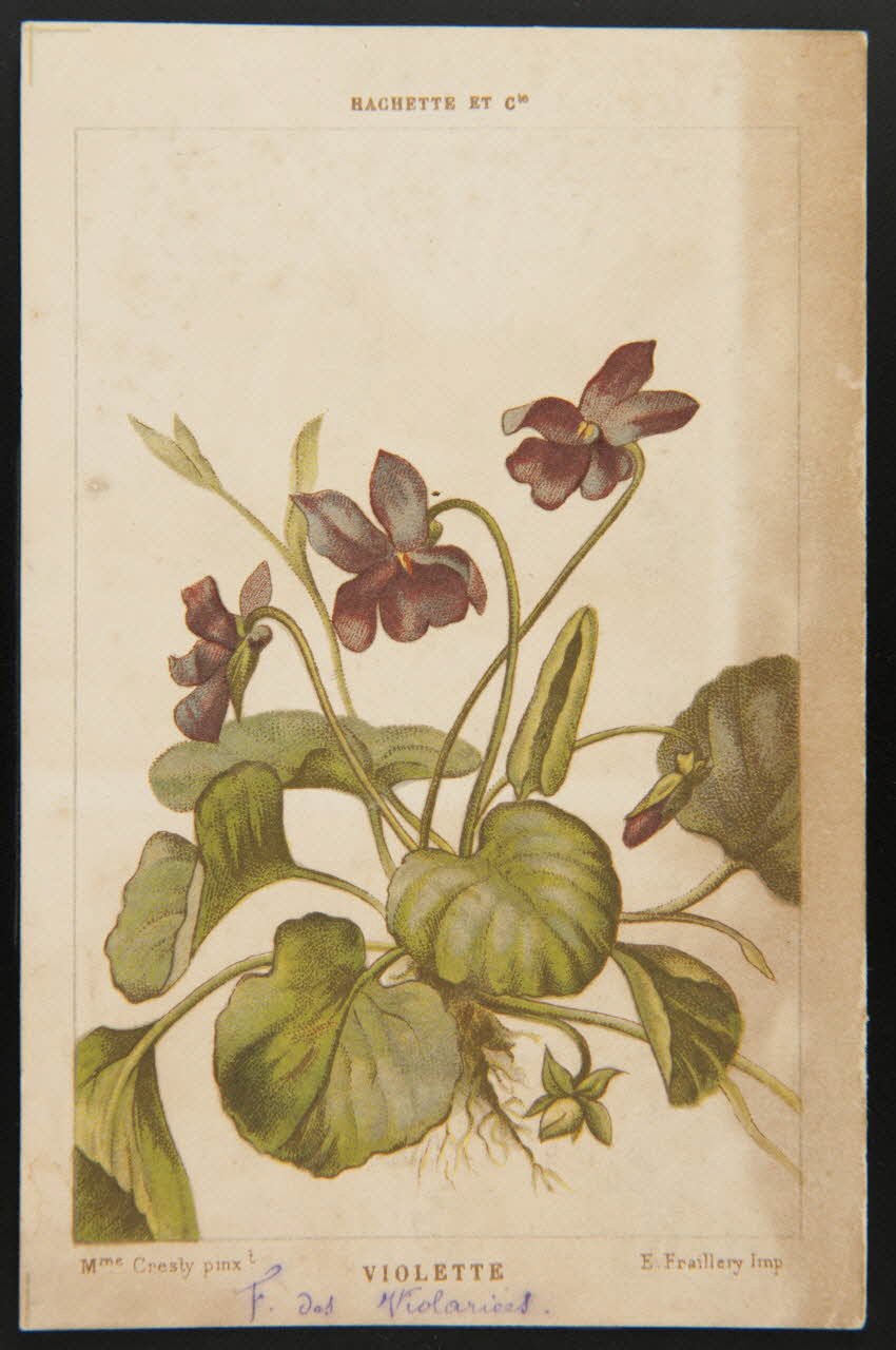 carte réclame chromo 1995.1.1311.142 Photo