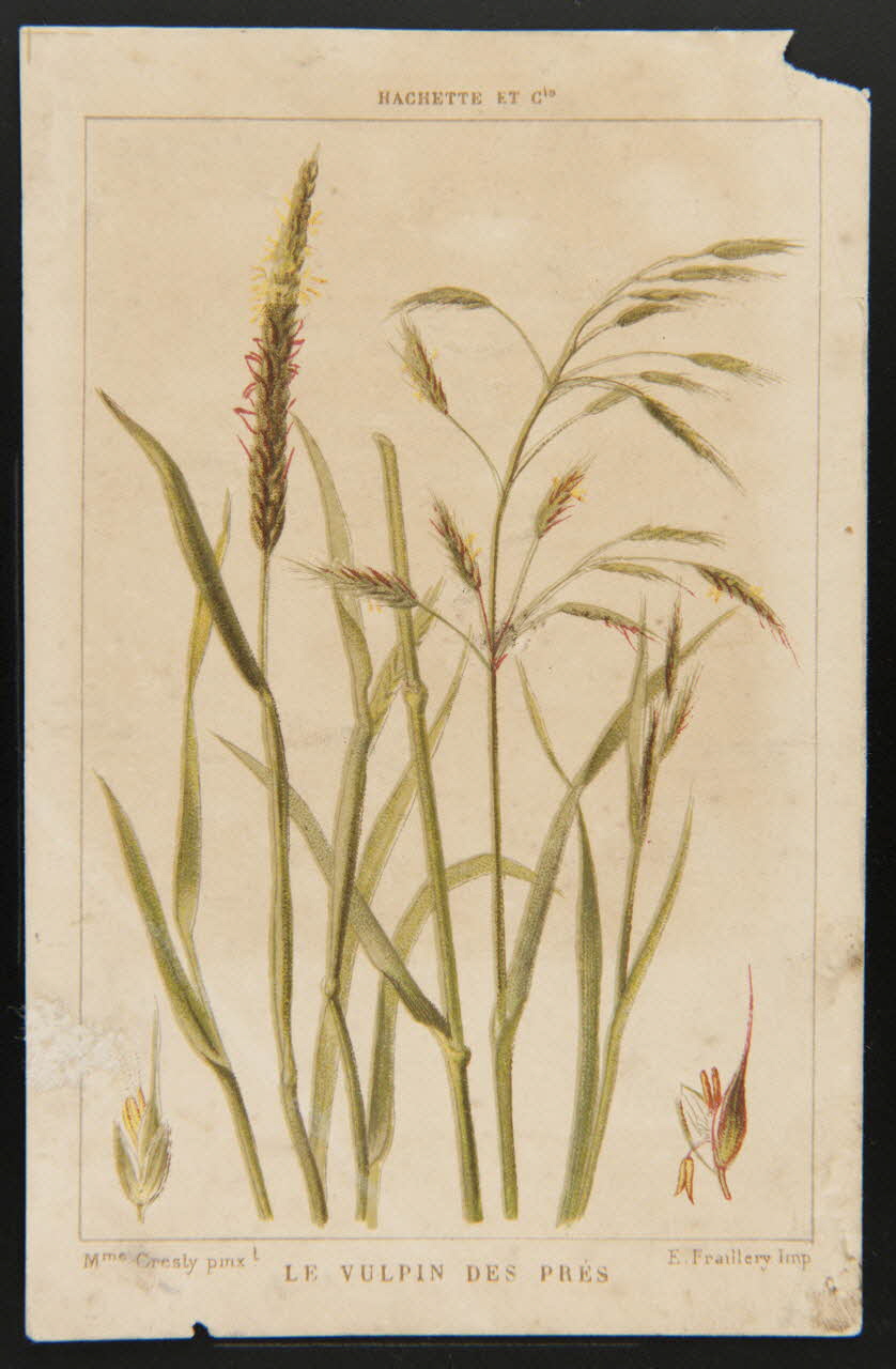 carte réclame chromo 1995.1.1311.143 Photo