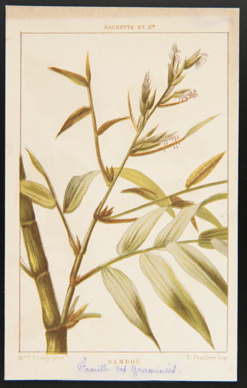 carte réclame chromo 1995.1.1311.15 Photo