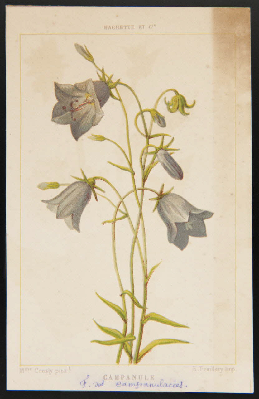 carte réclame chromo 1995.1.1311.22 Photo