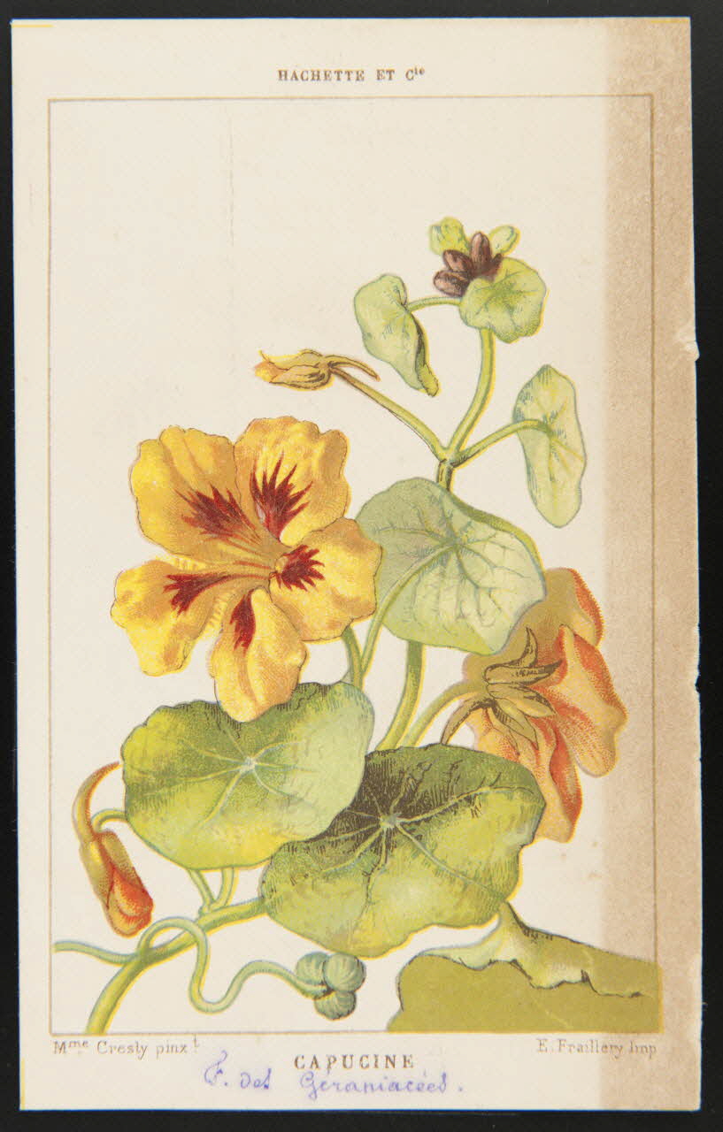 carte réclame chromo 1995.1.1311.24 Photo