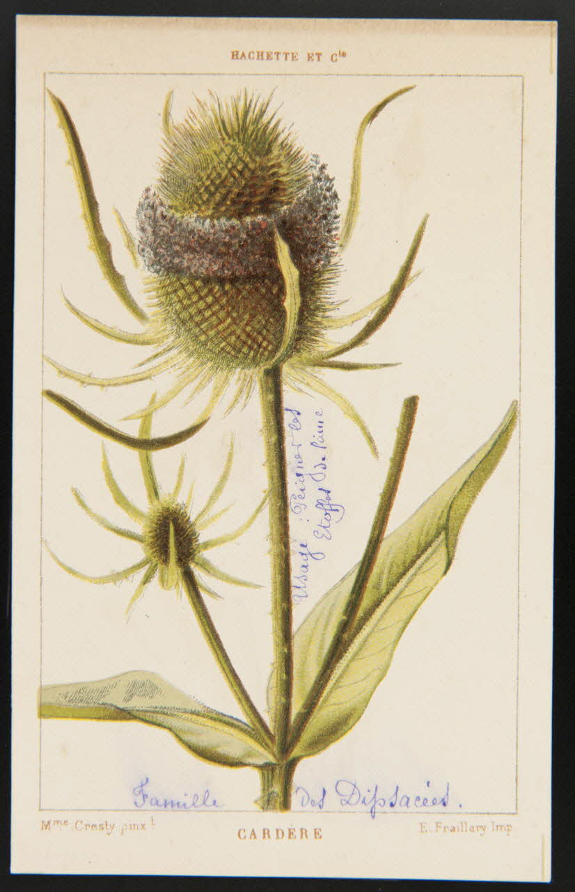 carte réclame chromo 1995.1.1311.25 Photo