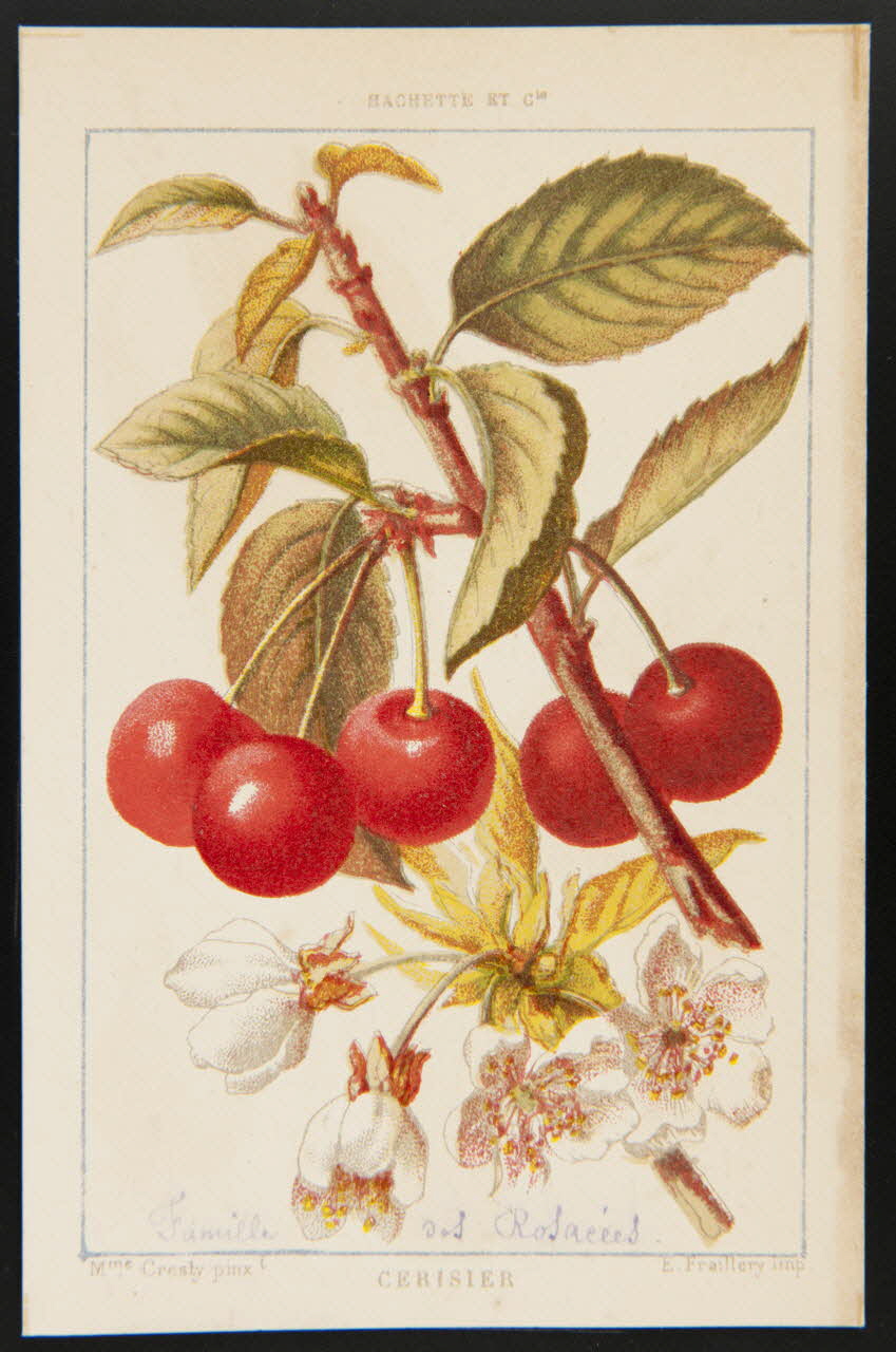 carte réclame chromo 1995.1.1311.26 Photo