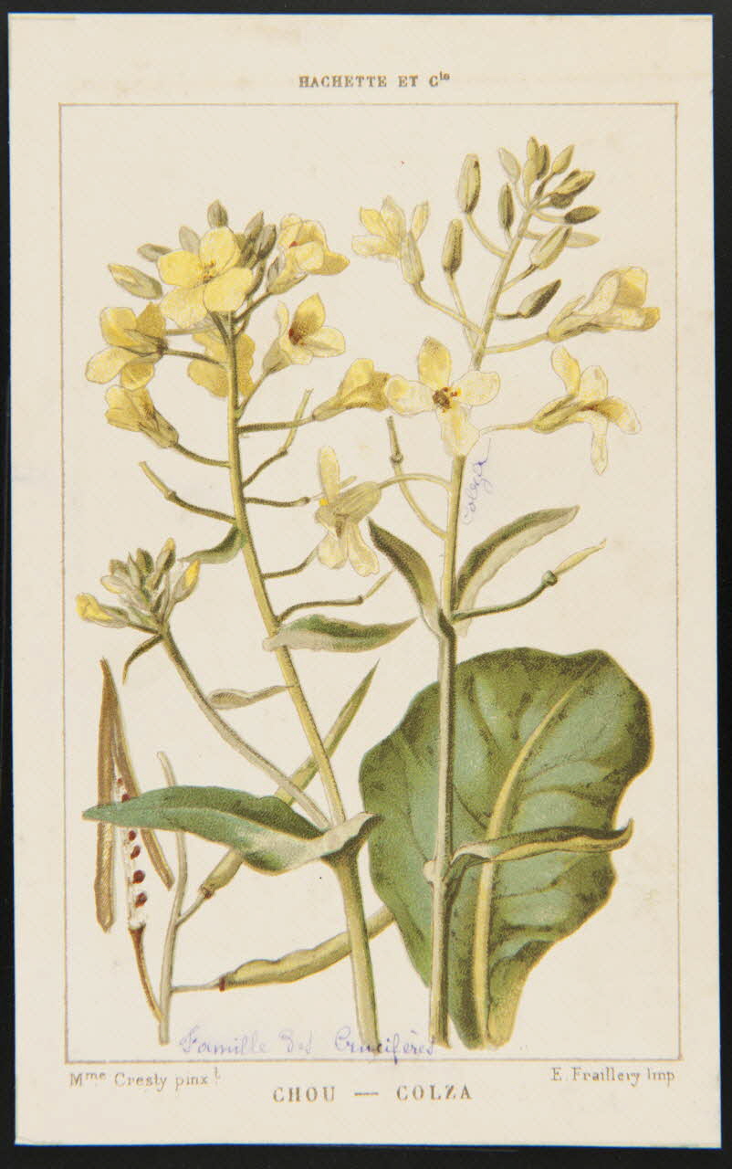 carte réclame chromo 1995.1.1311.32 Photo