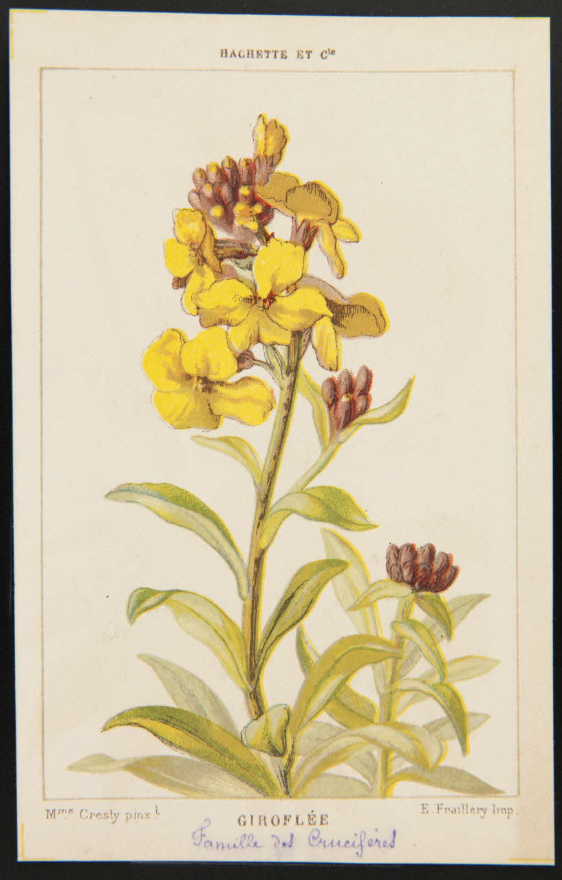 carte réclame chromo 1995.1.1311.54 Photo